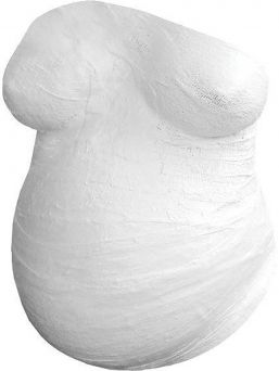 Pregnant Belly Casting kit. This non-toxic, 100% baby safe kit includes everything you need to make a mold of your adorable baby bump.