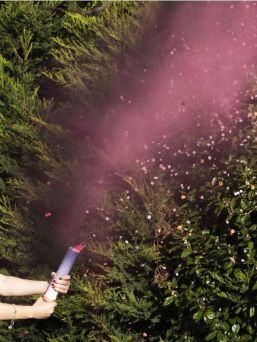 Gender Reveal Smoke / Confetti Cannon Shooter