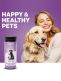 10-parameter urine test for animals 5 pcs