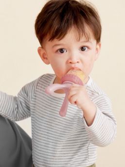 b.box Fresh Food Feeder – teething toy and pacifier for baby, Blush
