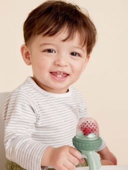 b.box Fresh Food Feeder – teething toy and pacifier for baby, Sage
