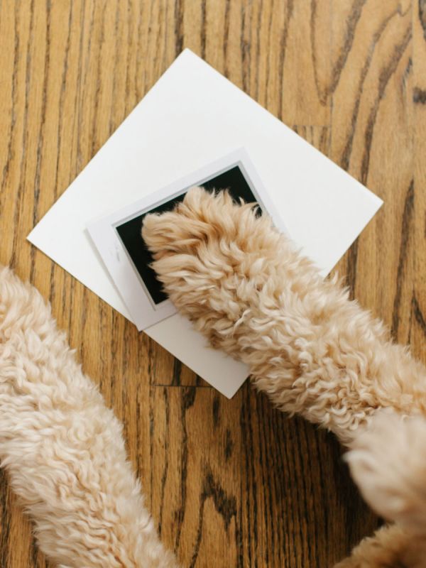 Best Friends Forever keepsake frame – child and pet