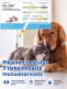 Kidney Check Kidney test for animals 1 pcs