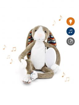 Zazu Bo Bunny Soft toys with night light and music box.