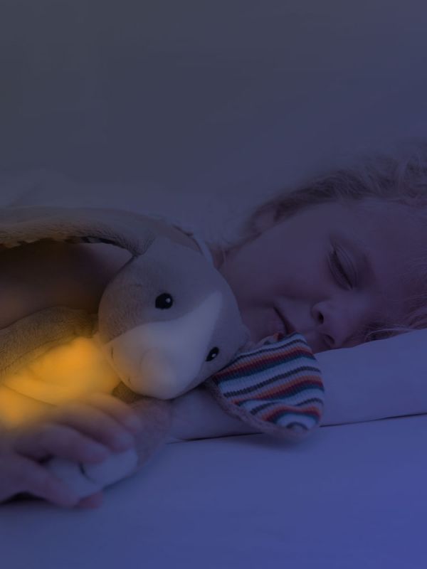 Zazu Bo Bunny Soft toys with night light and music box.