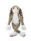 Zazu Bo Bunny Soft toys with night light and music box.