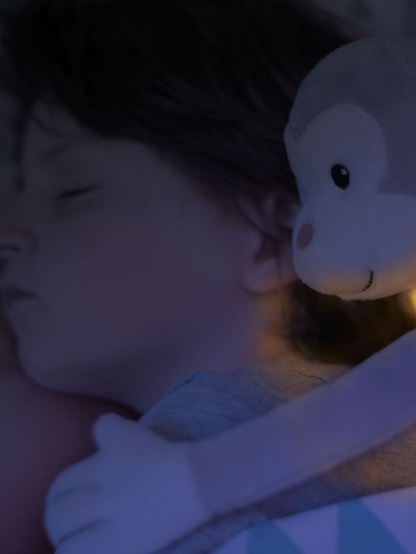 Zazu Max Monkey Soft toys with night light and music box.