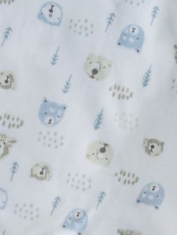 SwaddleMe Wrap 4-6mth, Lion