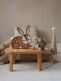 Little Lights Night light, Bunny Chocolate