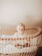 Baby bed Lola - Bermbach Handcrafted