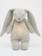 Moonie The Humming Friend - soothe a child for sleep, gray natur