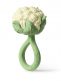Oli&Carol Cauliflower rattle