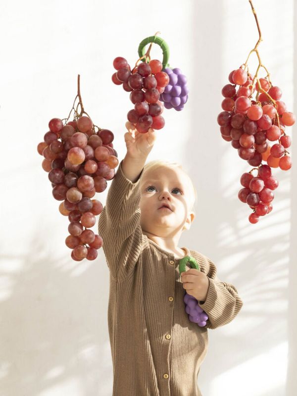 Oli&Carol Grape rattle