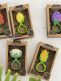 Oli&Carol Grape rattle
