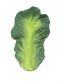 Oli&Carol Kendall the Kale chew toy