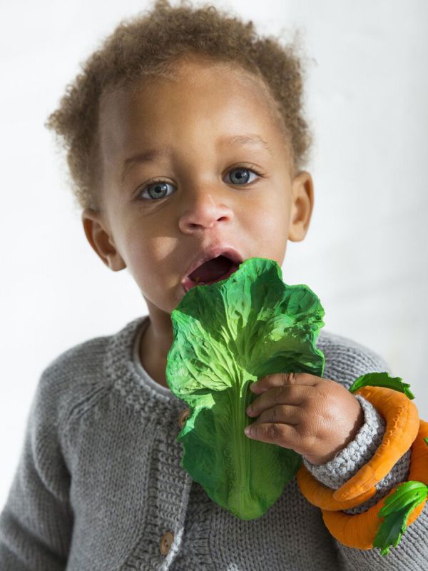 Oli&Carol Kendall the Kale chew toy