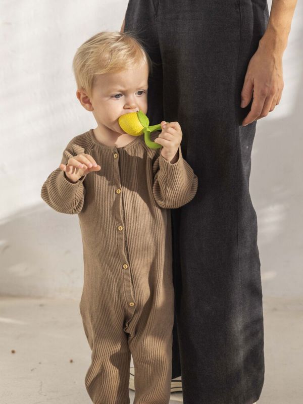 Oli&Carol Lemon rattle