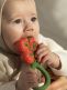 Oli&Carol Tomato rattle