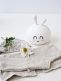 Rabbit & Friends Sweet Bunny Lamp – Silicone night light with 7 colors
