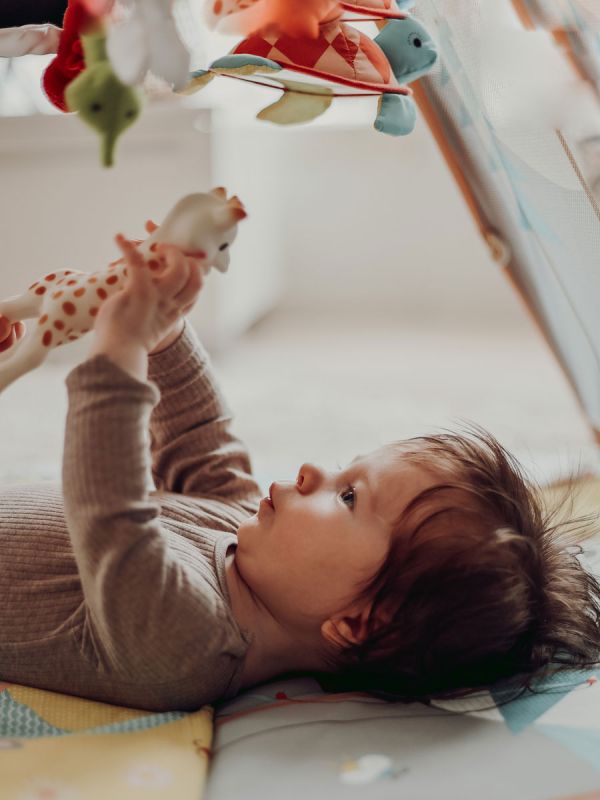 Sophie The Giraffe Teether