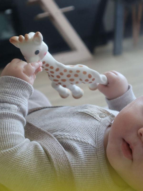 Sophie The Giraffe Teether