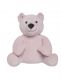 Baby’s Only stuffed bear, sense old pink