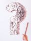 Gender Reveal Pinata is a great way to reveal the gender of your baby.