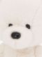 White Teddy bear 25cm