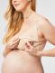 Cake Maternity wirefree, seamless Sugar Candy collection softening nursing bra. 